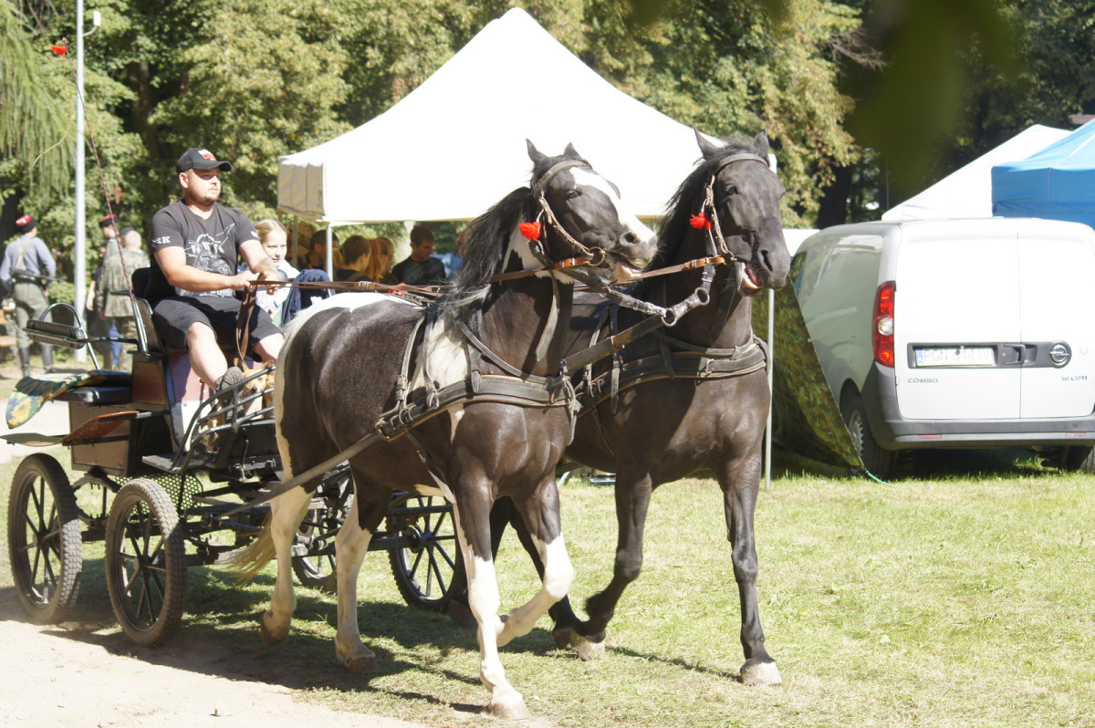 4 Piknik Historyczny Stowarzyszenia Cichociemnych [ZDJĘCIA]