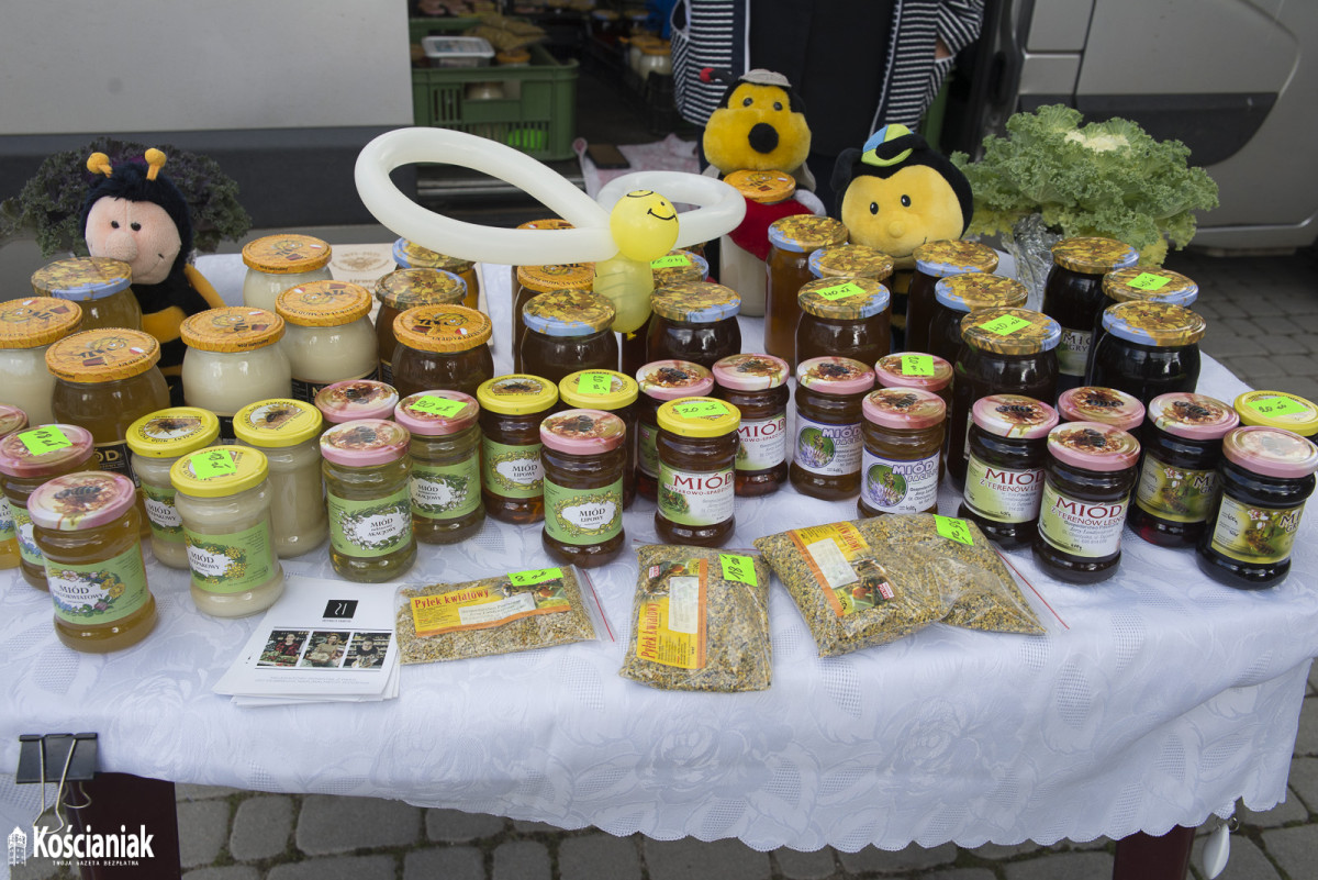 Piknik pszczelarski w Kościanie [ZDJĘCIA]