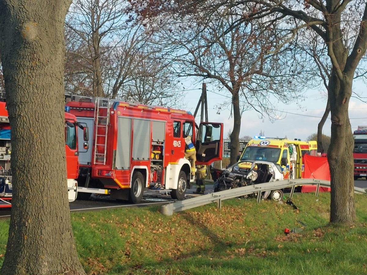 Czołowe zderzenie przed Chorynią. Są ranni [ZDJĘCIA]
