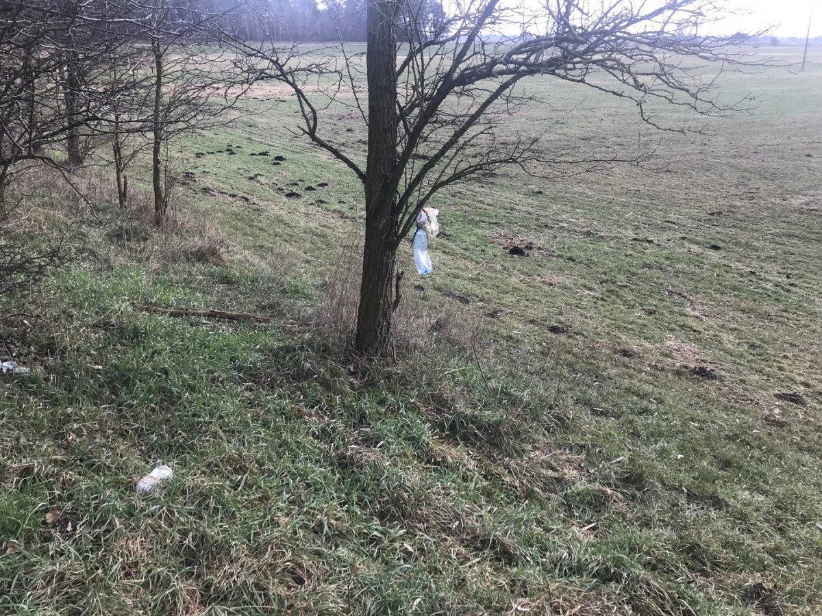 Śmieci wciąż pojawiają się w lasach [ZDJĘCIA]