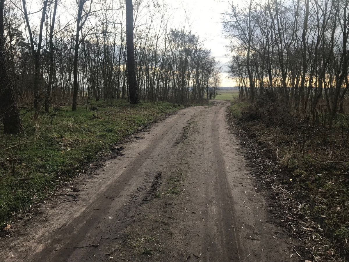 Śmieci wciąż pojawiają się w lasach [ZDJĘCIA]