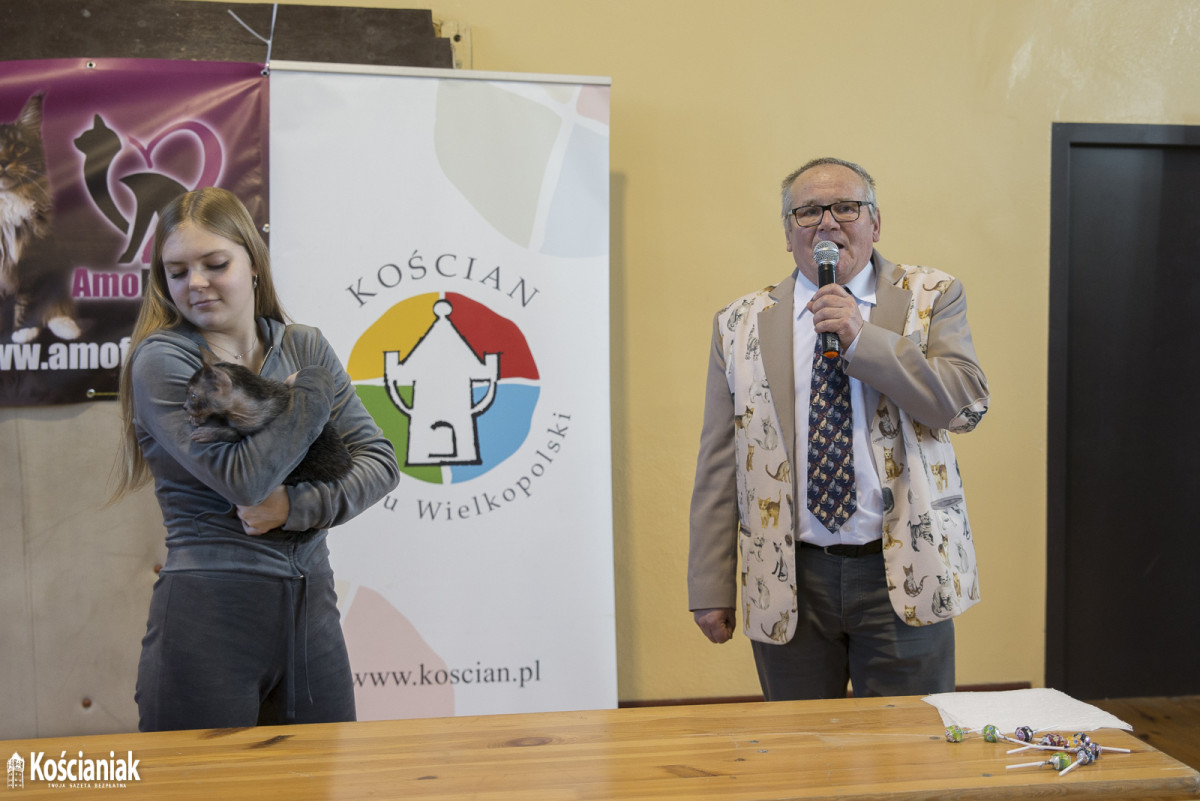 Pokaz kotów rasowych w Kościanie [ZDJĘCIA]