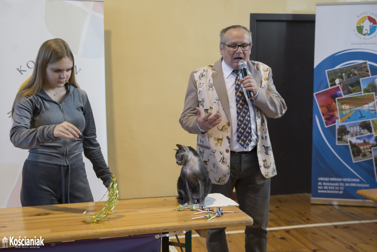 Pokaz kotów rasowych w Kościanie [ZDJĘCIA]