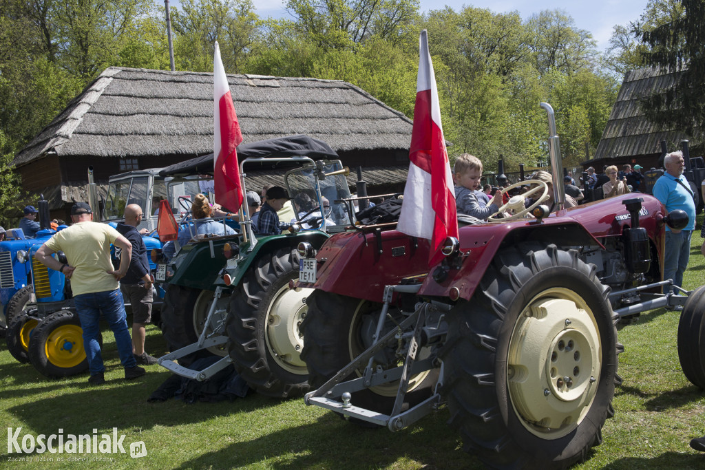 Zlot Zabytkowych Traktorów w Soplicowie [ZDJĘCIA]