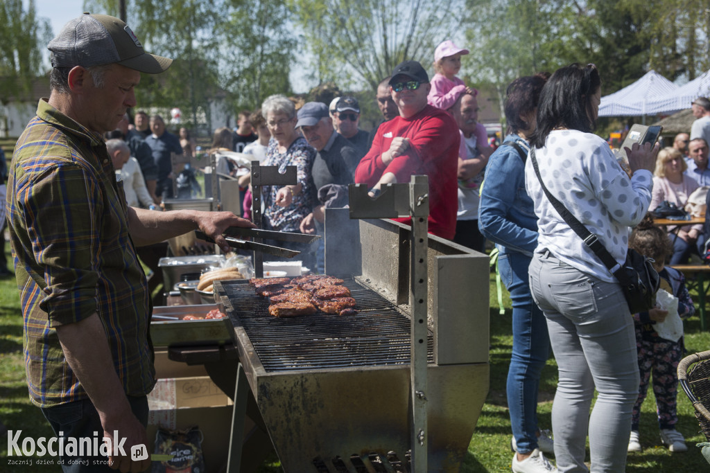 Zlot Zabytkowych Traktorów w Soplicowie [ZDJĘCIA]