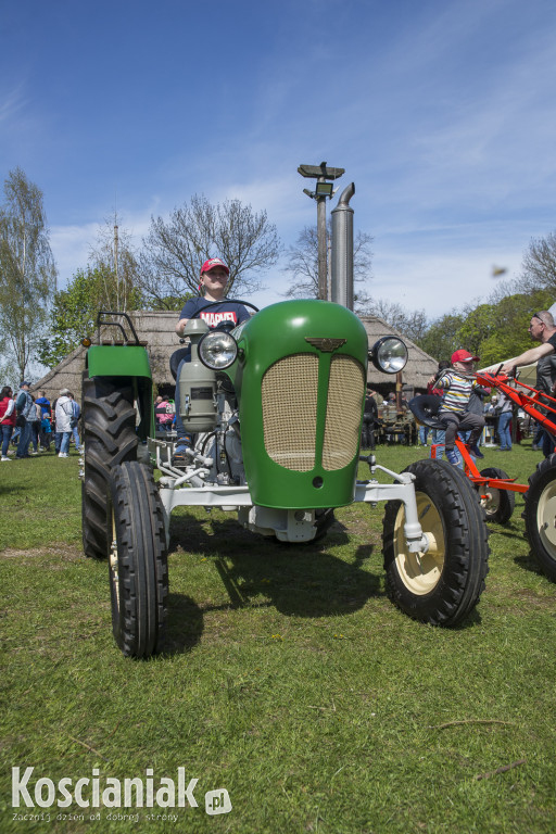 Zlot Zabytkowych Traktorów w Soplicowie [ZDJĘCIA]