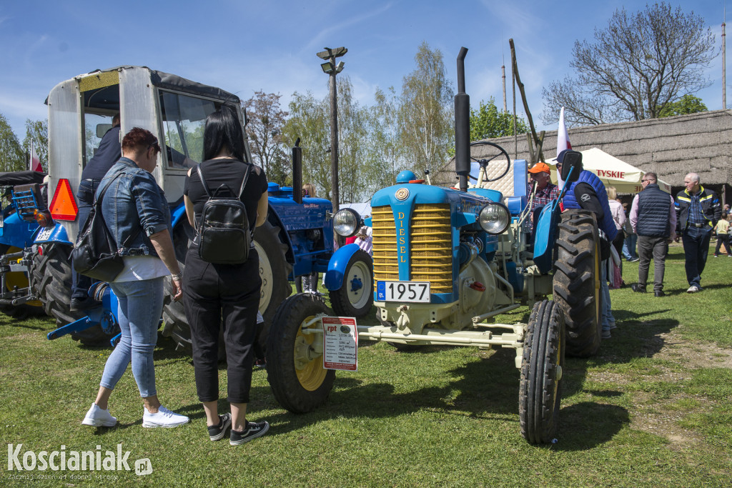 Zlot Zabytkowych Traktorów w Soplicowie [ZDJĘCIA]