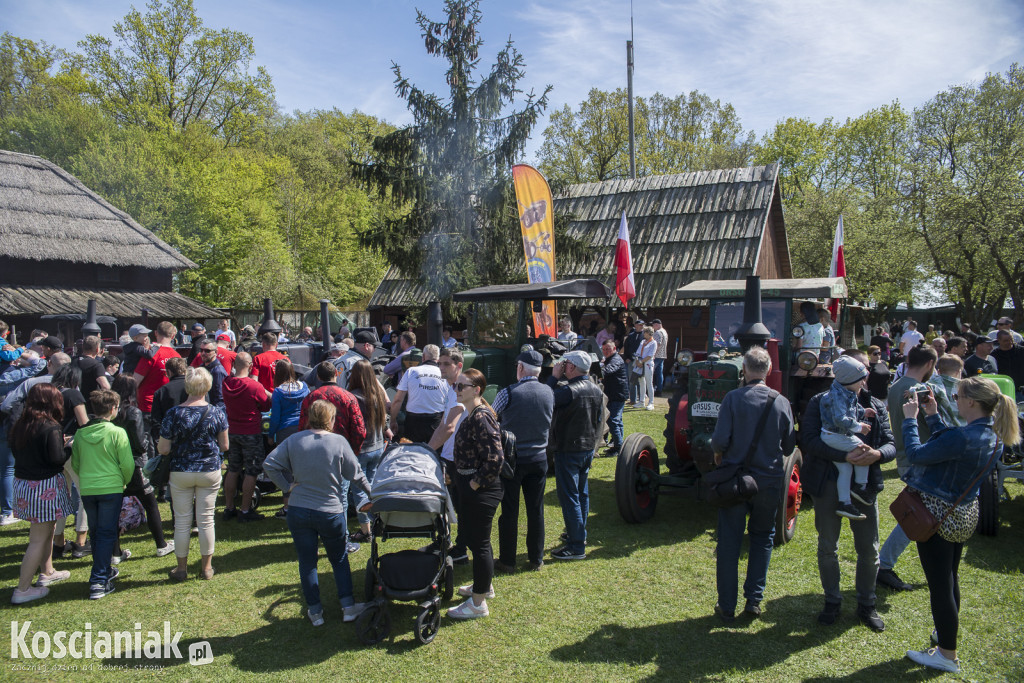 Zlot Zabytkowych Traktorów w Soplicowie [ZDJĘCIA]