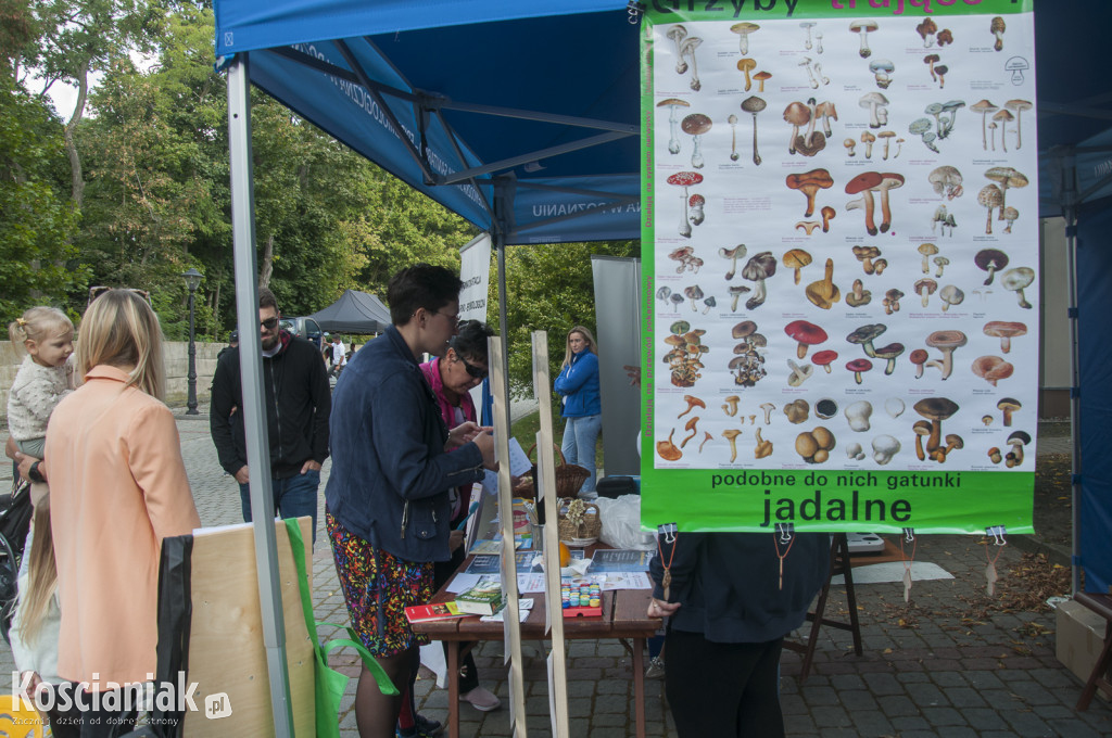 Bezpłatne badania podczas pikniku powiatu