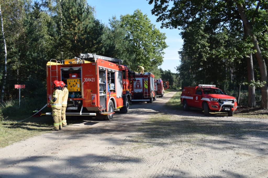 180 strażaków ćwiczyło działania w lesie