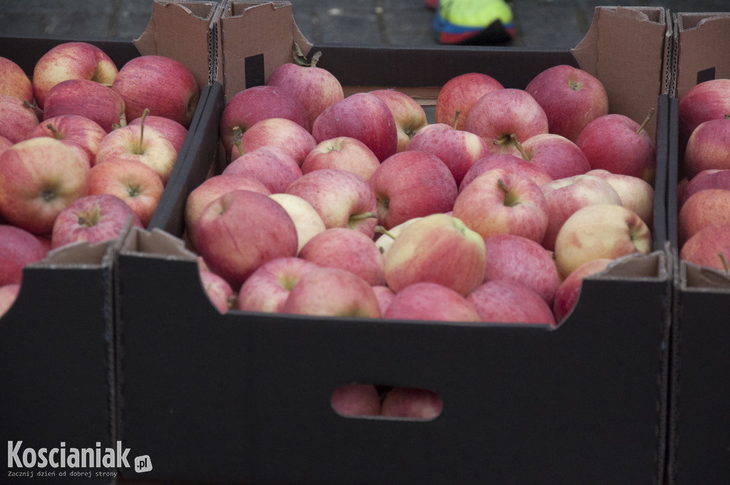 Bieg Top Farms Chłapowskiego w Turwi