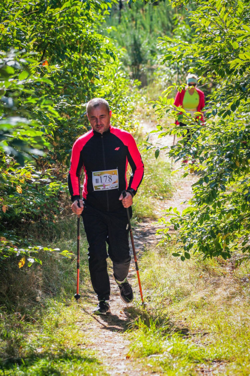 Półmaraton w lesie w Nietążkowie