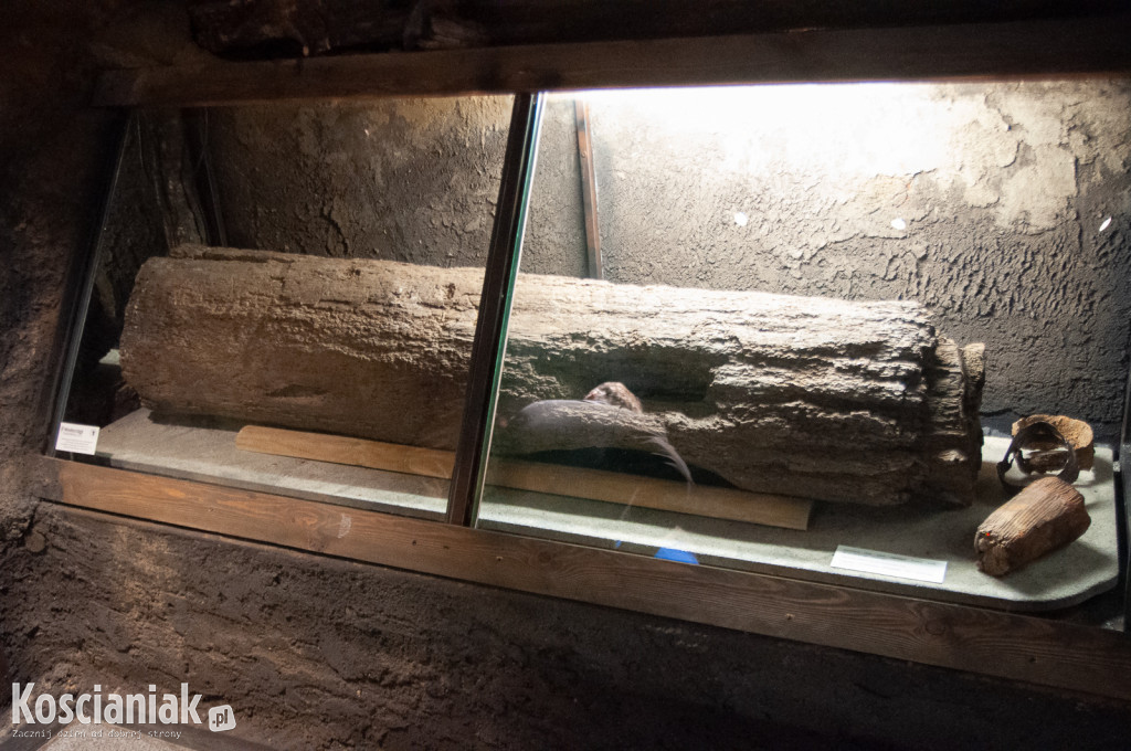 Zainaugurowano działalność muzeum w ratuszu