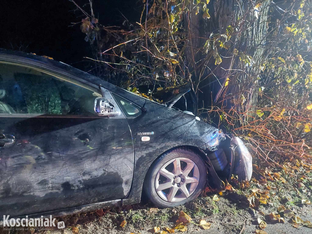 Nie opanował pojazdu i uderzył w drzewo