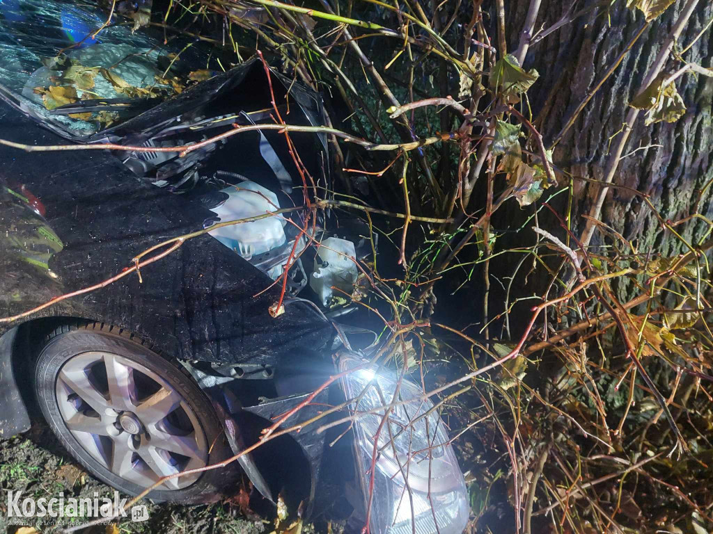 Nie opanował pojazdu i uderzył w drzewo