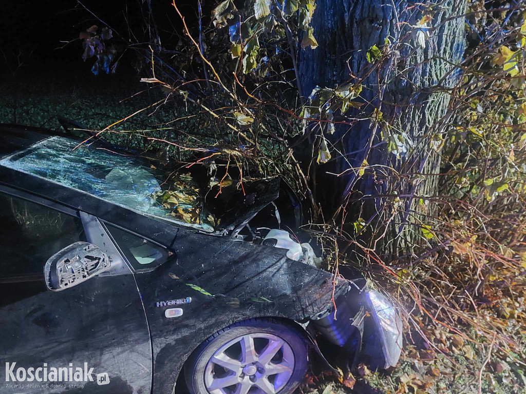 Nie opanował pojazdu i uderzył w drzewo