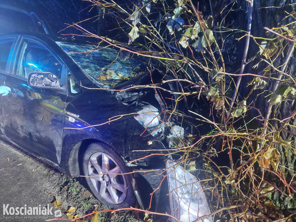 Nie opanował pojazdu i uderzył w drzewo