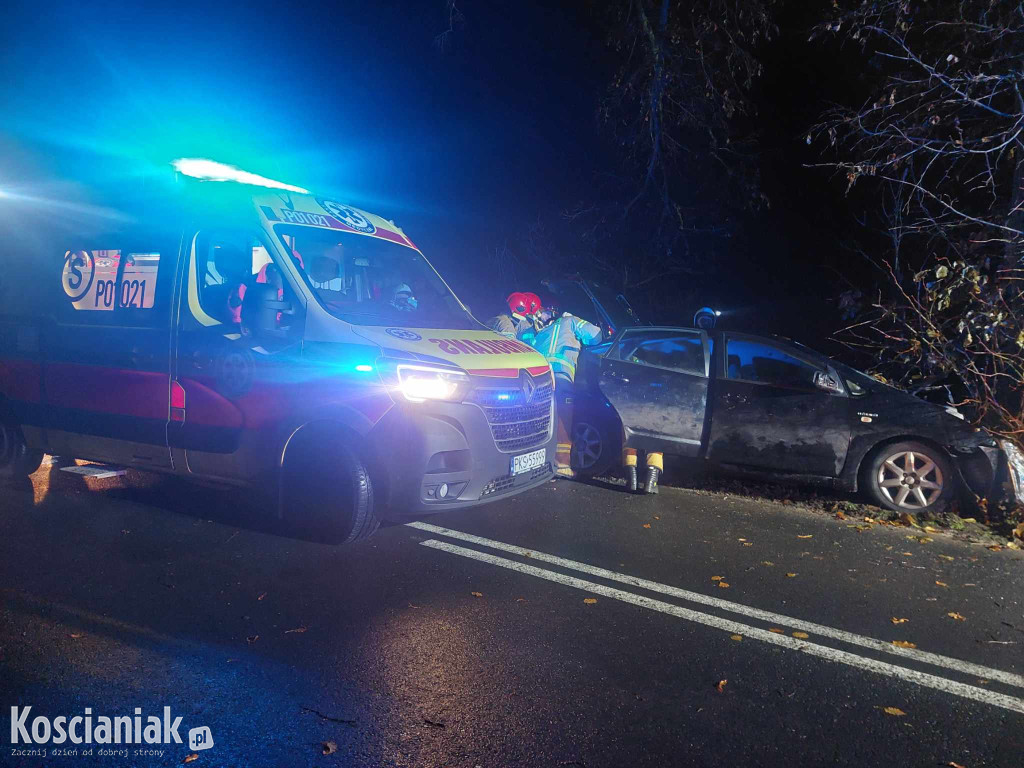 Nie opanował pojazdu i uderzył w drzewo