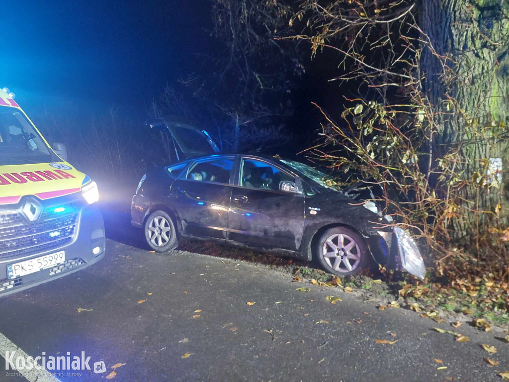 Nie opanował pojazdu i uderzył w drzewo