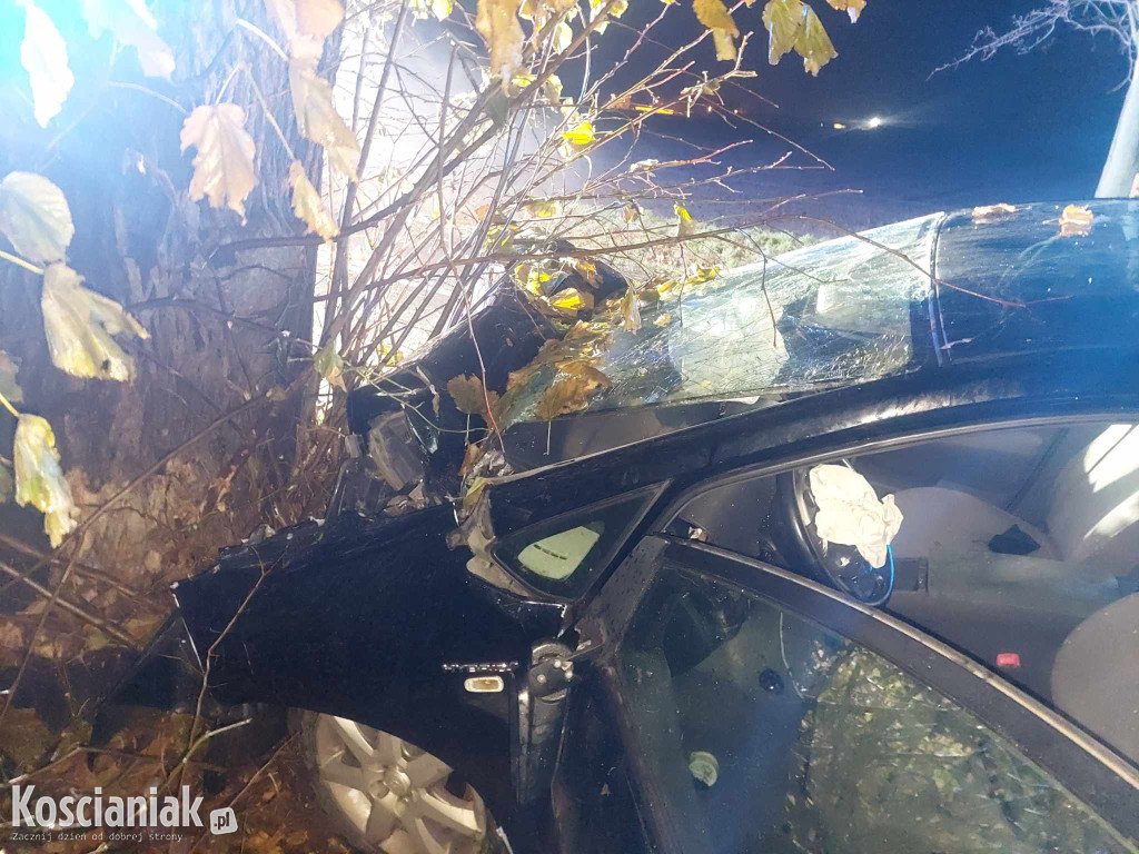 Nie opanował pojazdu i uderzył w drzewo
