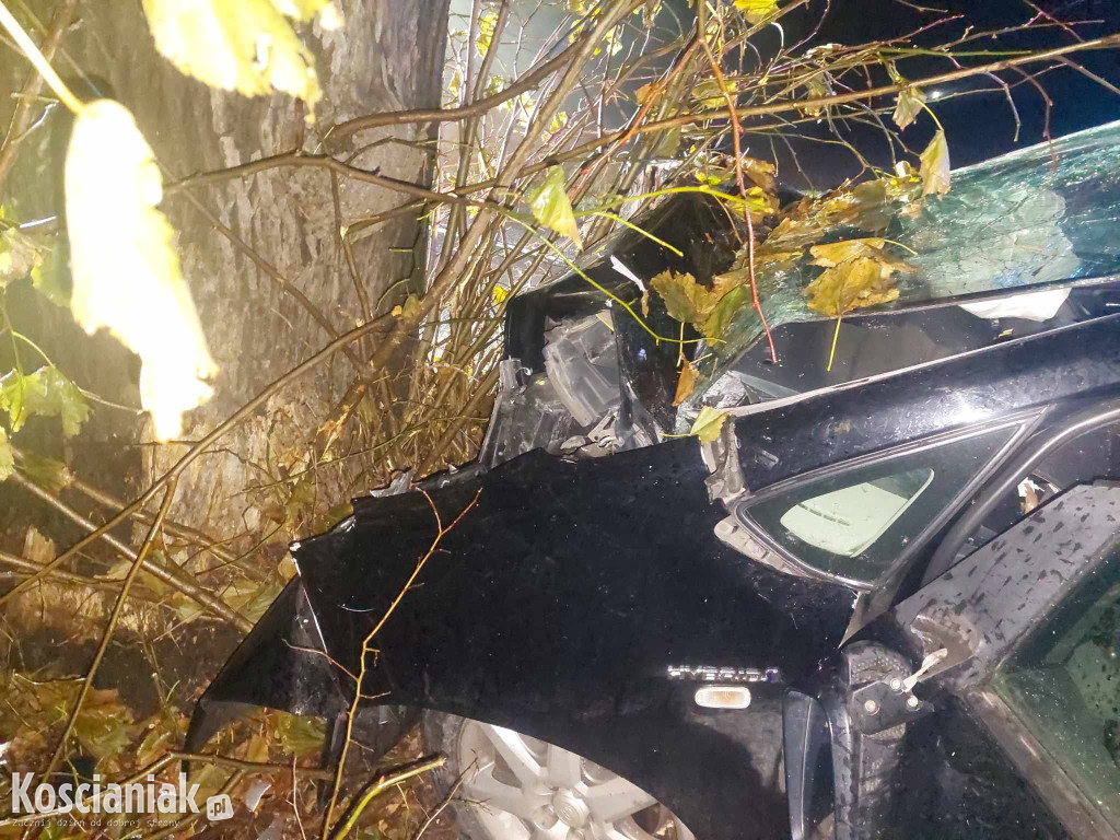 Nie opanował pojazdu i uderzył w drzewo