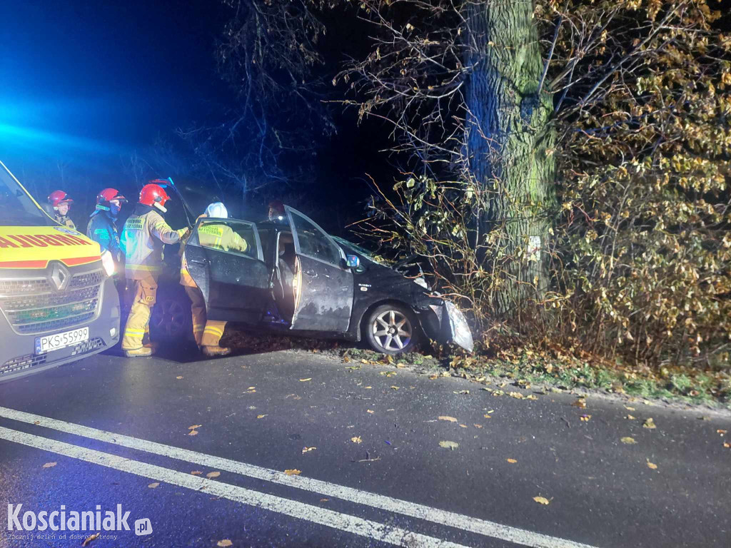 Nie opanował pojazdu i uderzył w drzewo