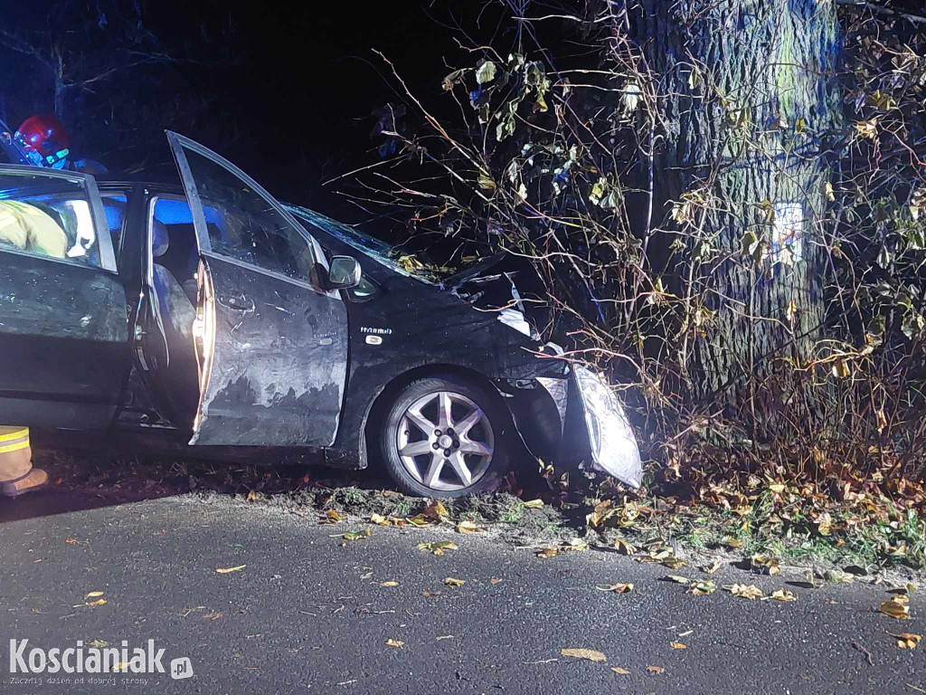 Nie opanował pojazdu i uderzył w drzewo