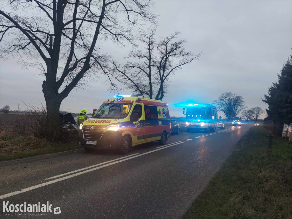 Wjechał w drzewo, bo za szybko jechał