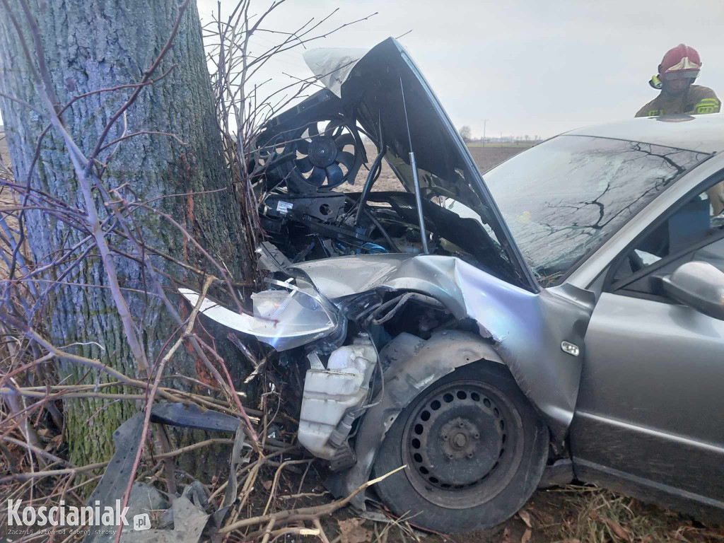 Wjechał w drzewo, bo za szybko jechał