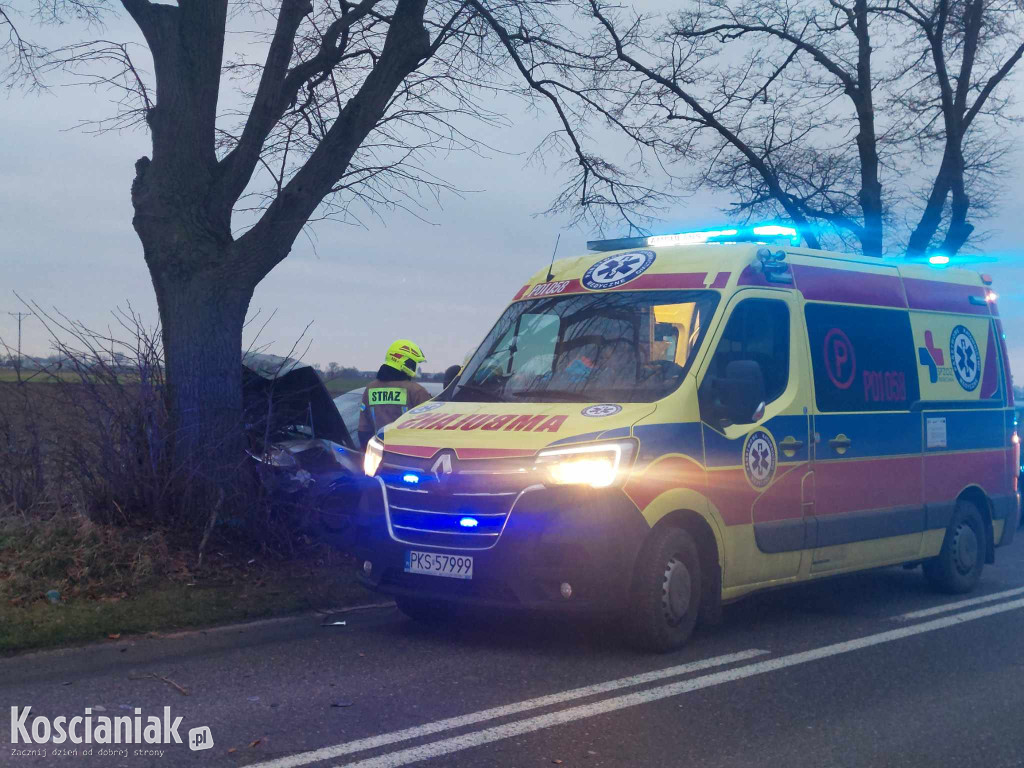 Wjechał w drzewo, bo za szybko jechał