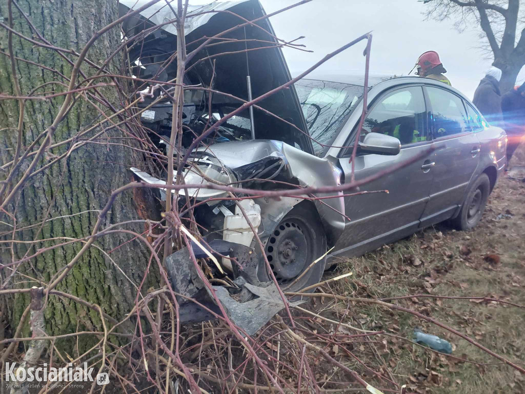 Wjechał w drzewo, bo za szybko jechał