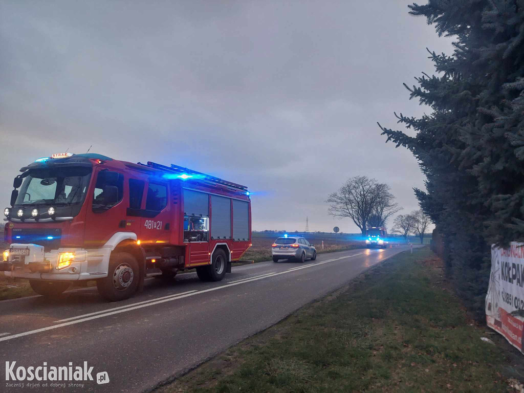 Wjechał w drzewo, bo za szybko jechał