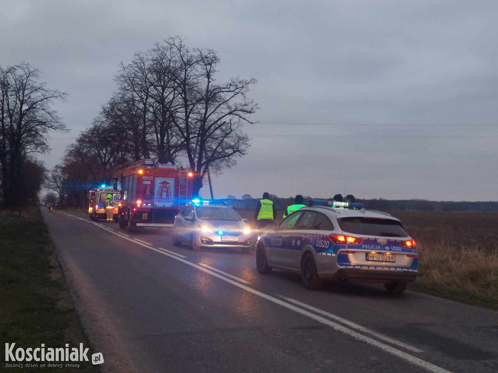 Wjechał w drzewo, bo za szybko jechał