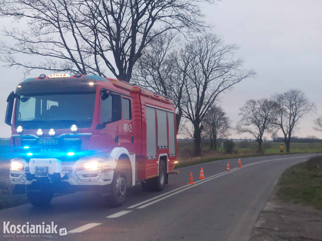 Wjechał w drzewo, bo za szybko jechał