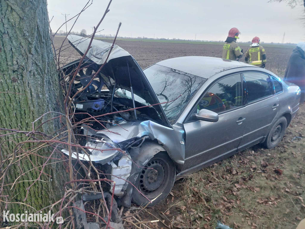 Wjechał w drzewo, bo za szybko jechał
