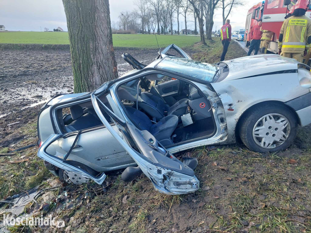 Uderzył w drzewo. Pasażer trafił do szpitala