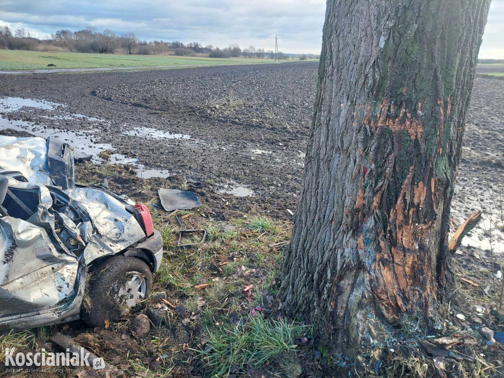 Uderzył w drzewo. Pasażer trafił do szpitala