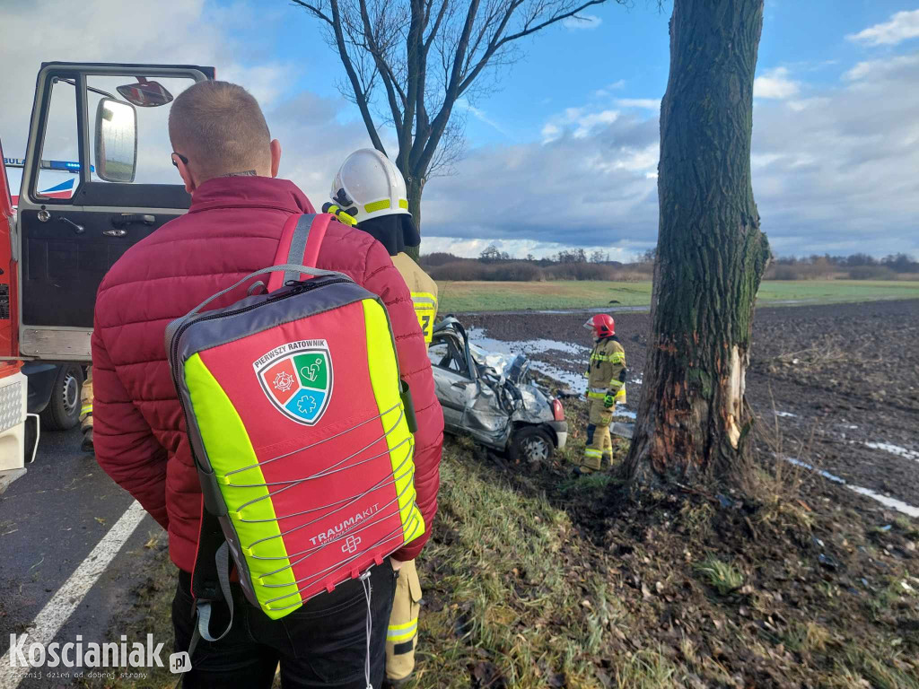 Uderzył w drzewo. Pasażer trafił do szpitala