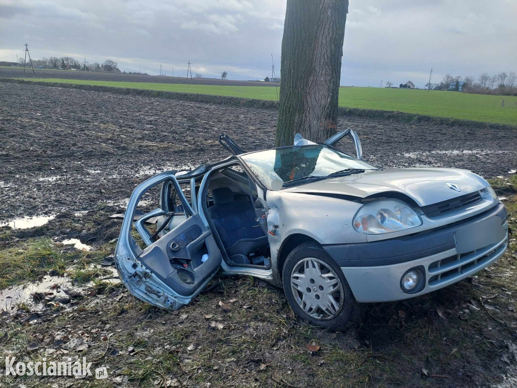 Uderzył w drzewo. Pasażer trafił do szpitala