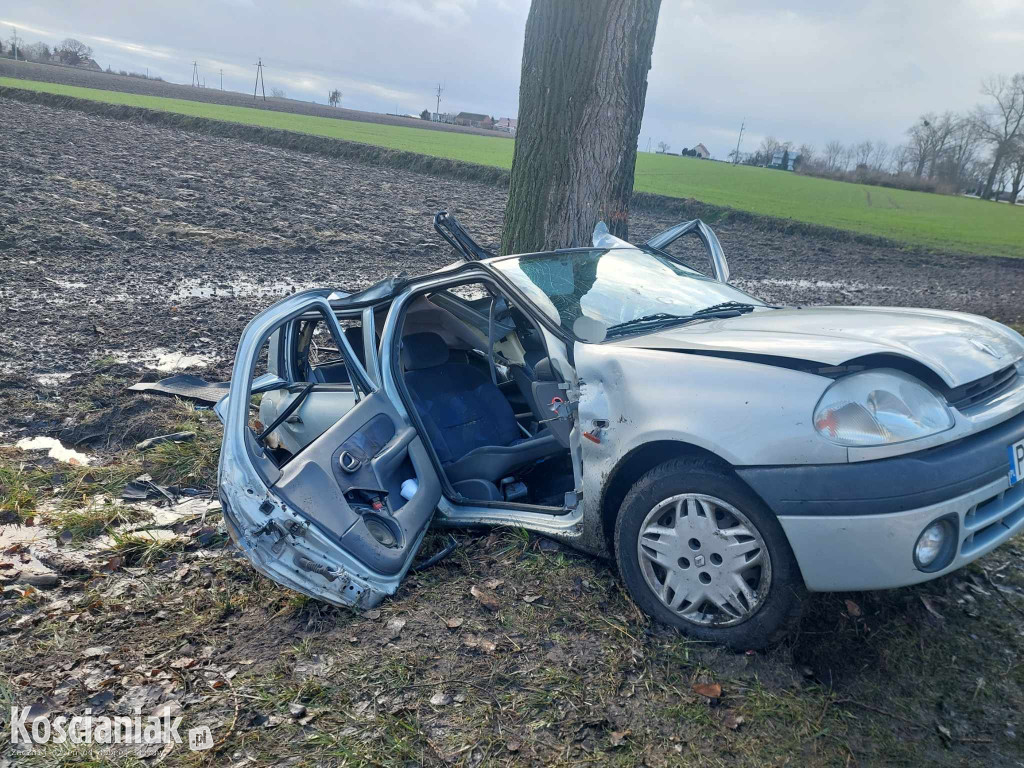 Uderzył w drzewo. Pasażer trafił do szpitala