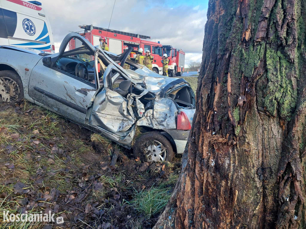 Uderzył w drzewo. Pasażer trafił do szpitala