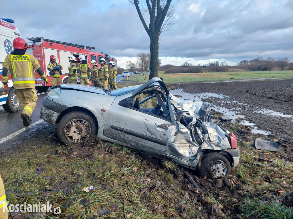 Uderzył w drzewo. Pasażer trafił do szpitala
