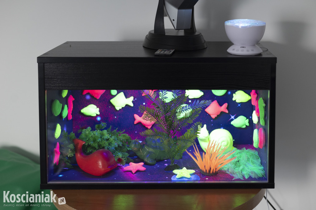 Otwarto Środowiskowy Dom Samopomocy