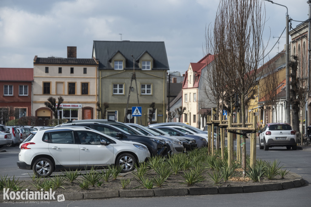 Czempiń stawia na zieleń