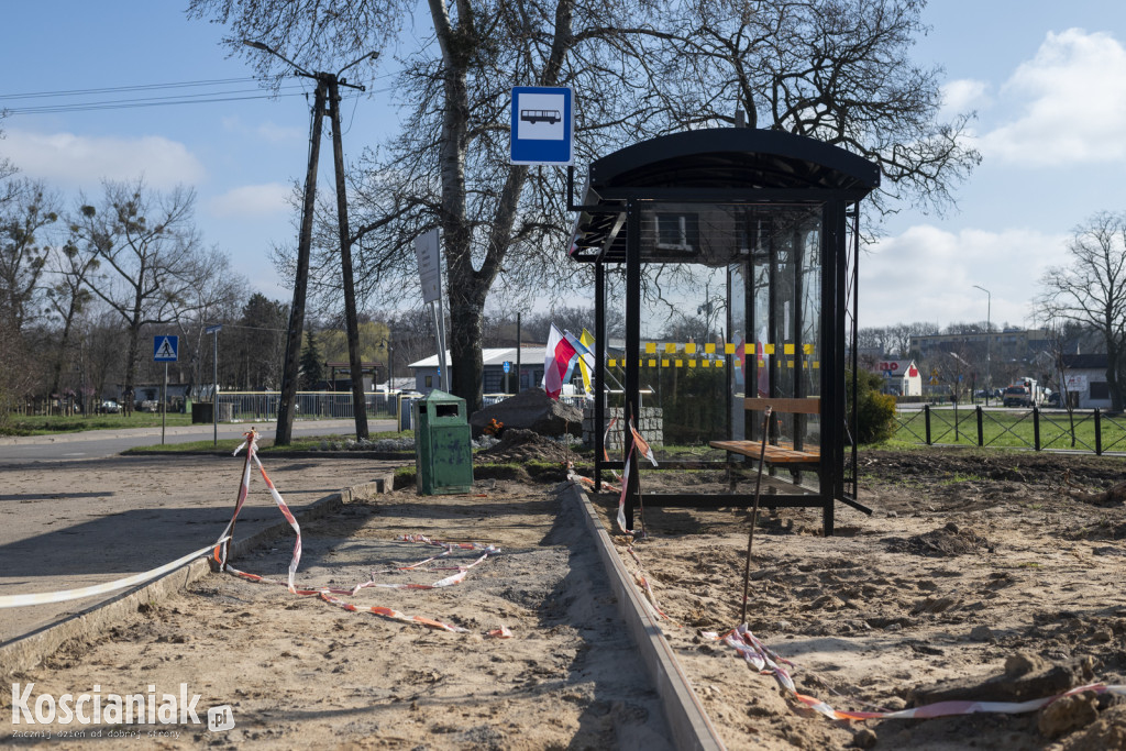 Czempiń stawia na zieleń