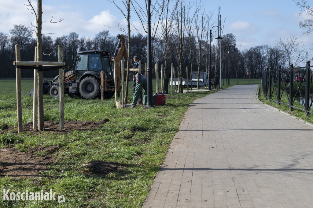 Czempiń stawia na zieleń