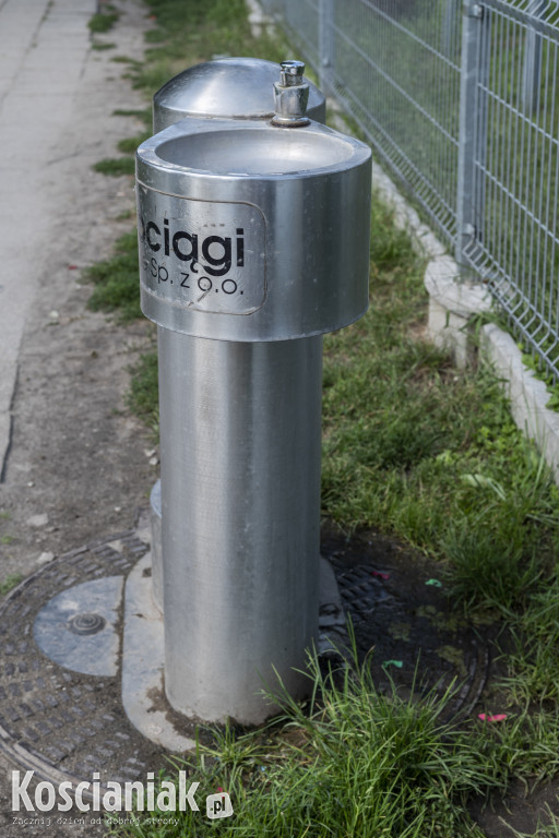 Kościańskie zdroje