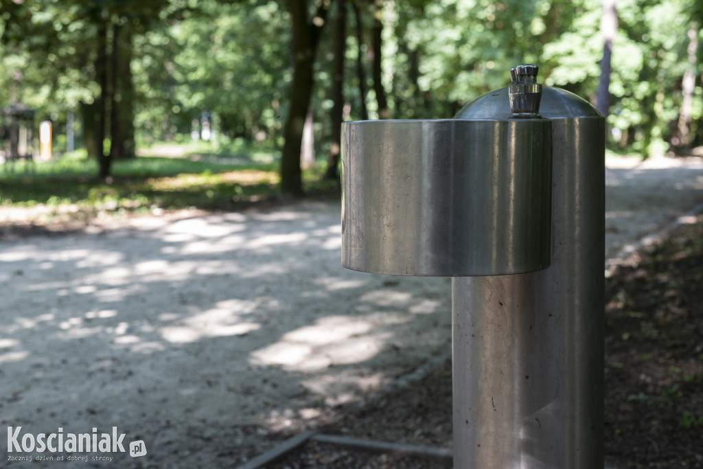 Kościańskie zdroje