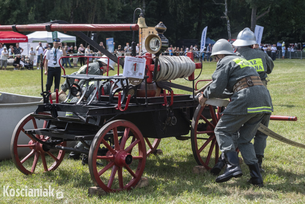 Zawody Sikawek Konnych w Racocie 2024