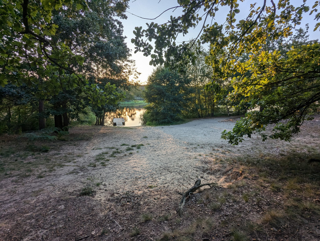 Warsztaty i zaproszenie na piknik z Szymborską